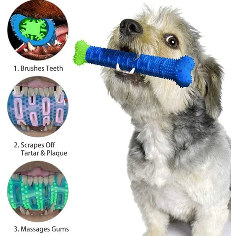 Bone Shape Dog Toothbrush