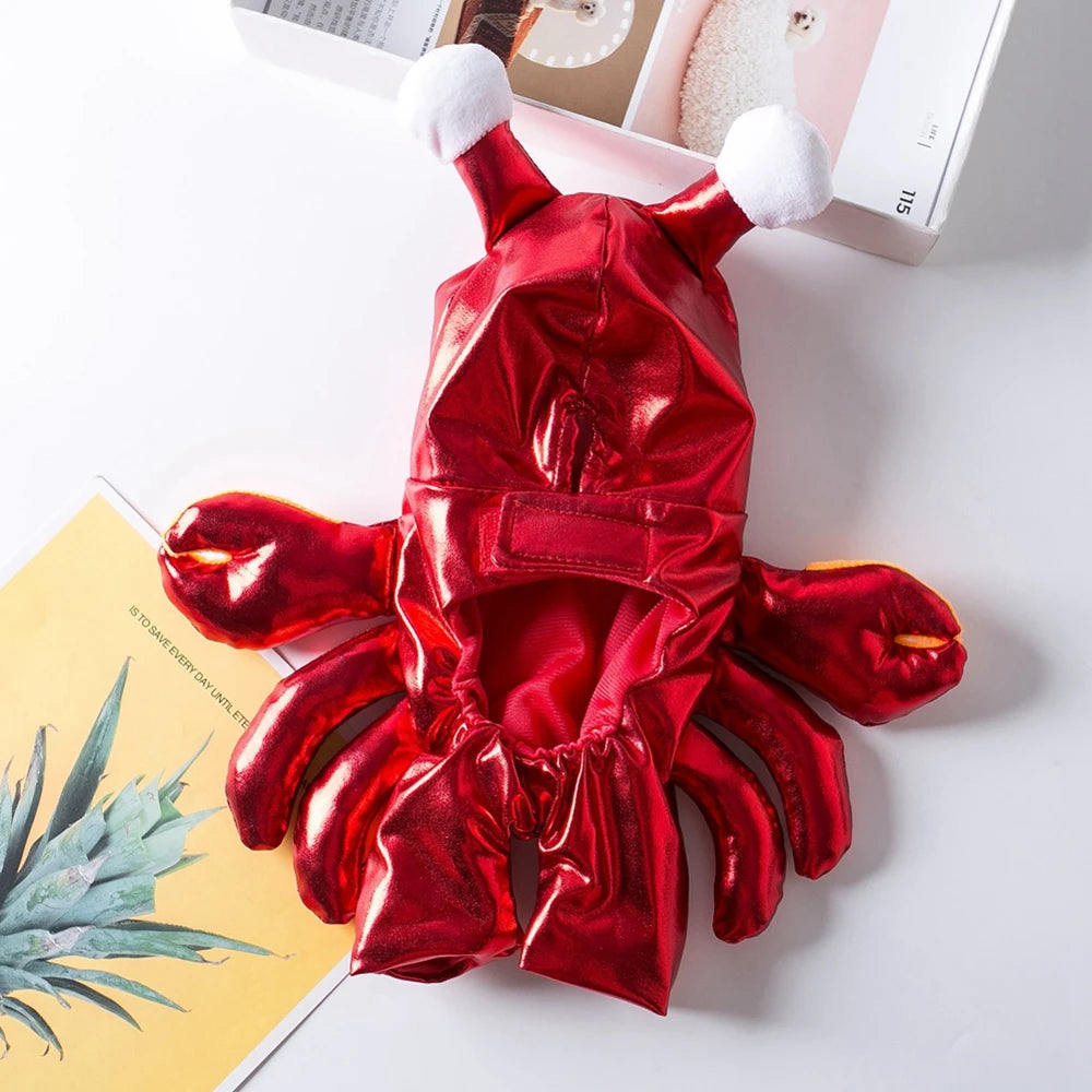 Crab Costume for Dog: Unique Style & Fun for Your Pet!