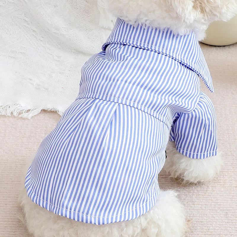 Dapper Dog Striped Shirt: Bowtie Elegance