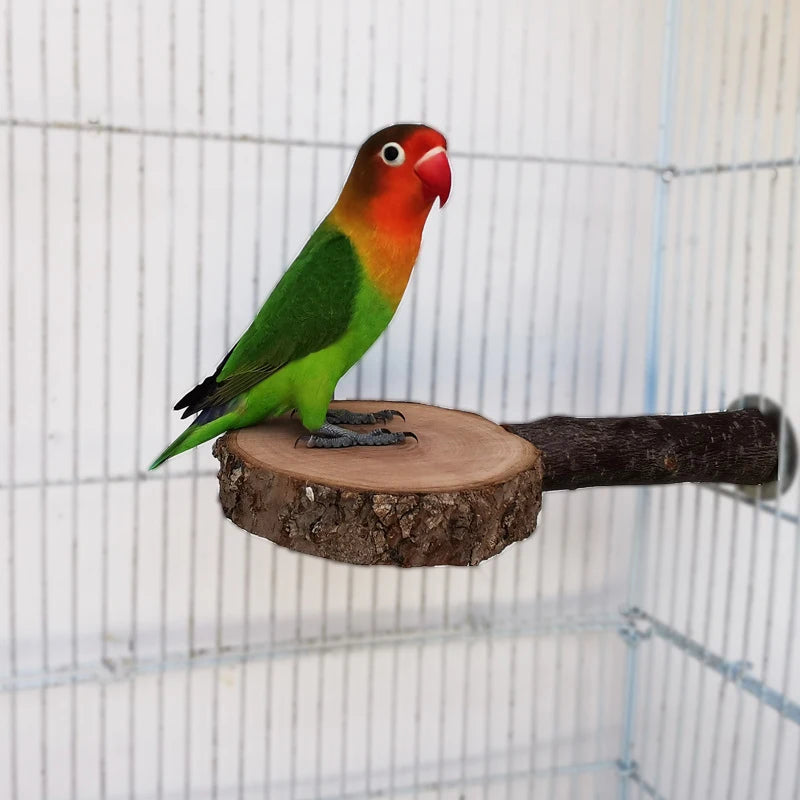 Apple Wood Bird Perch