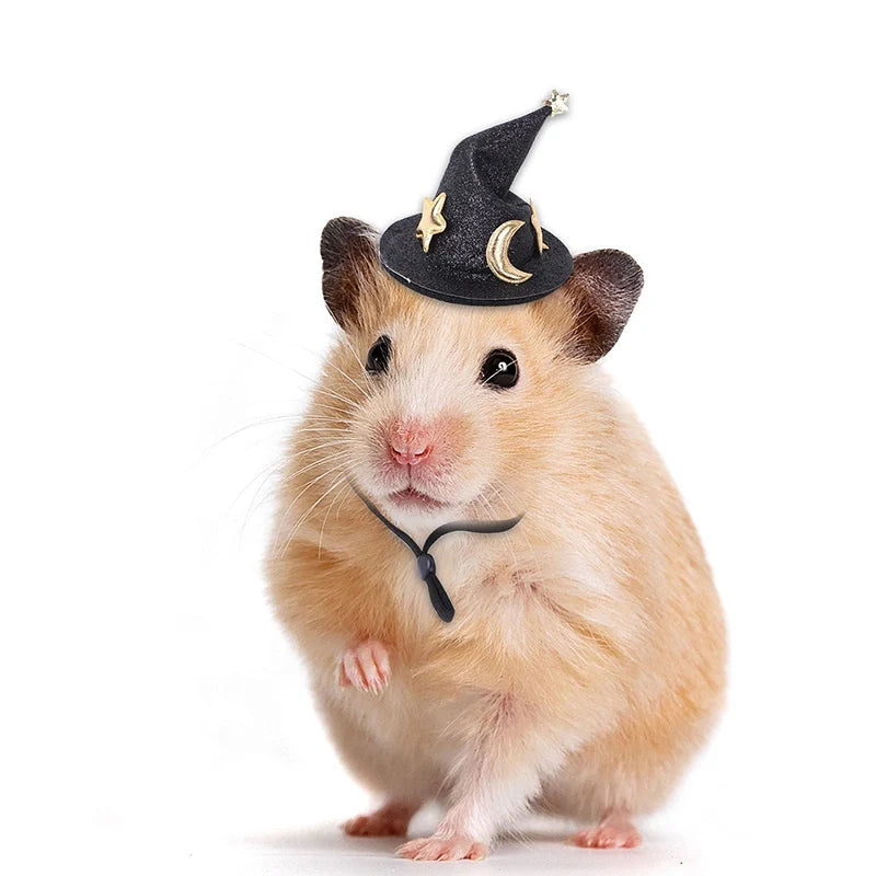 Magical Hamster Wizard Hat