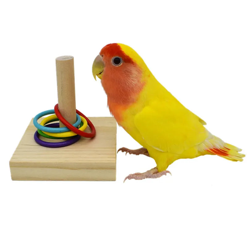 Bird Colorful Ring Toss