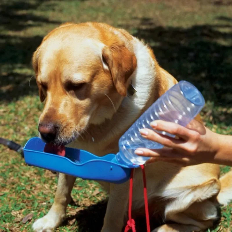 Portable Dog Water Bottle