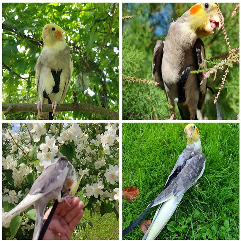 Adjustable Parrot Safety Harness