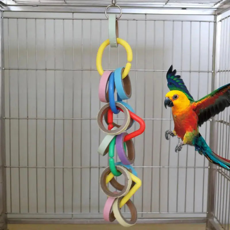 Parrot Gymnastic Rings Toy