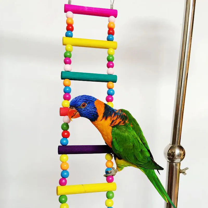 Colorful Bird Play Ladder