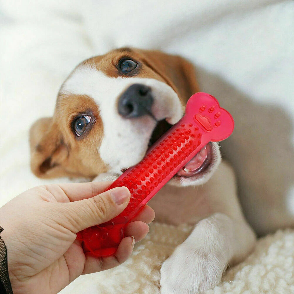 Puppy Dental Care Bone