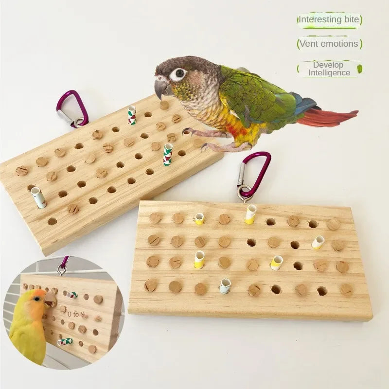 Parrot Enrichment Puzzle Feeder