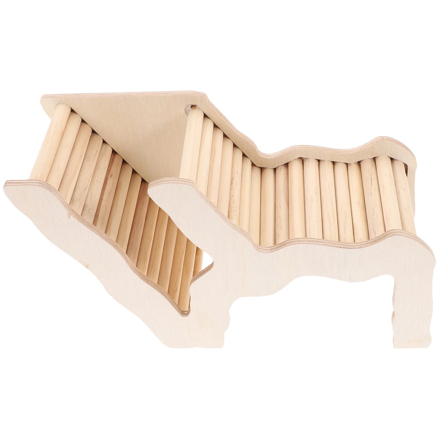 Curved Hamster Play Bridge