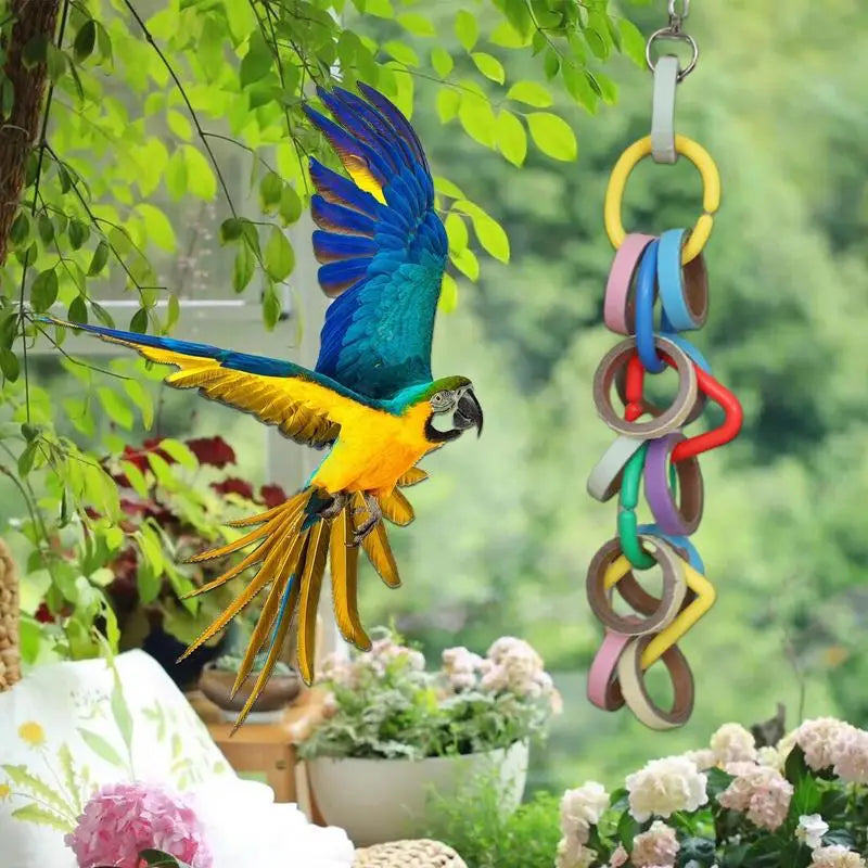 Parrot Gymnastic Rings Toy