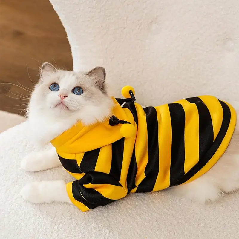 Funny Bee Cat Apparel