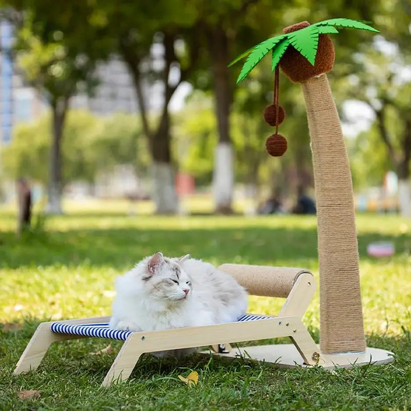 Cat Bed and Scratcher