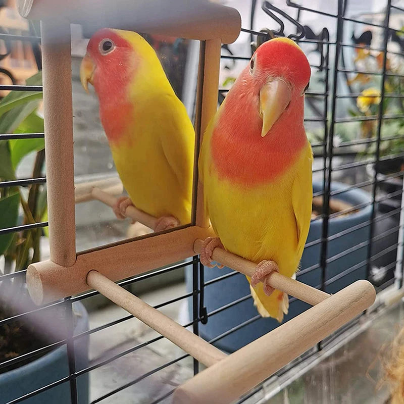 Bird Perch Mirror Stand