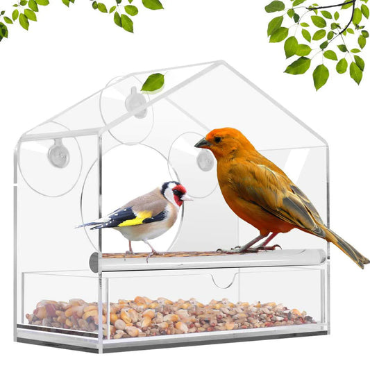 Modern Acrylic Birdhouse