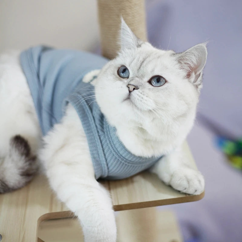 Comfy Cat Sweater Shirt