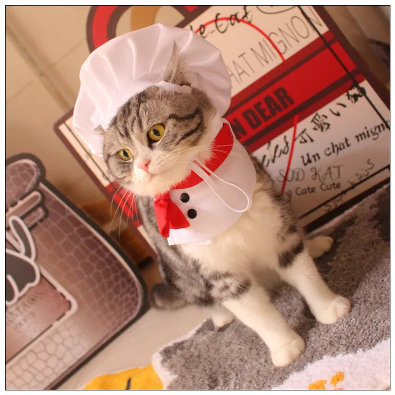 Fun Cat Chef Costume