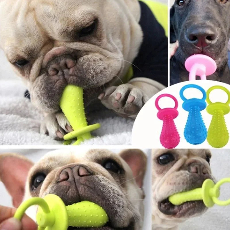 Small Dogs Rubber Pacifier