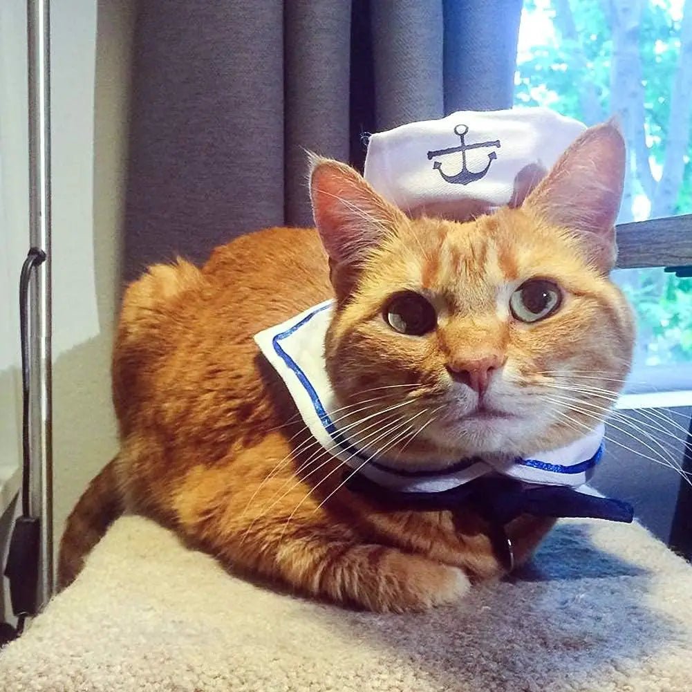 Nautical Cat in Uniform