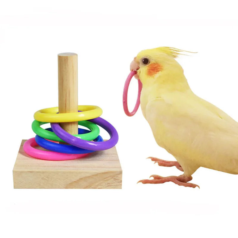 Bird Colorful Ring Toss