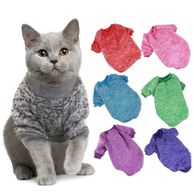 Colorful Cat Sweater Collection