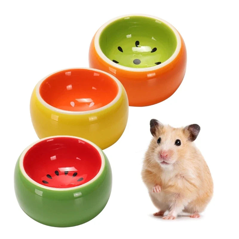 Colorful Ceramic Hamster Bowl