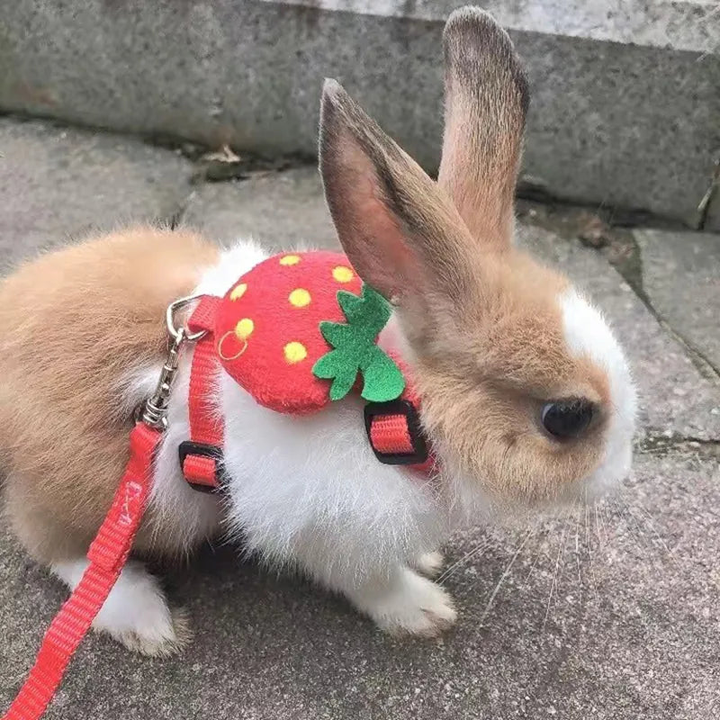 Bunny Strawberry Leash Harness