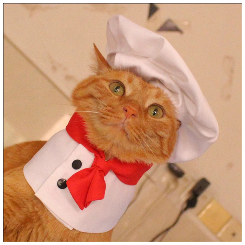 Fun Cat Chef Costume