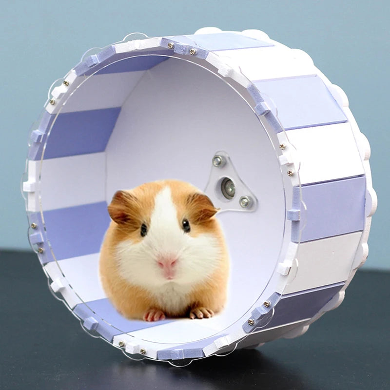 Modern Capsule Hamster Wheel