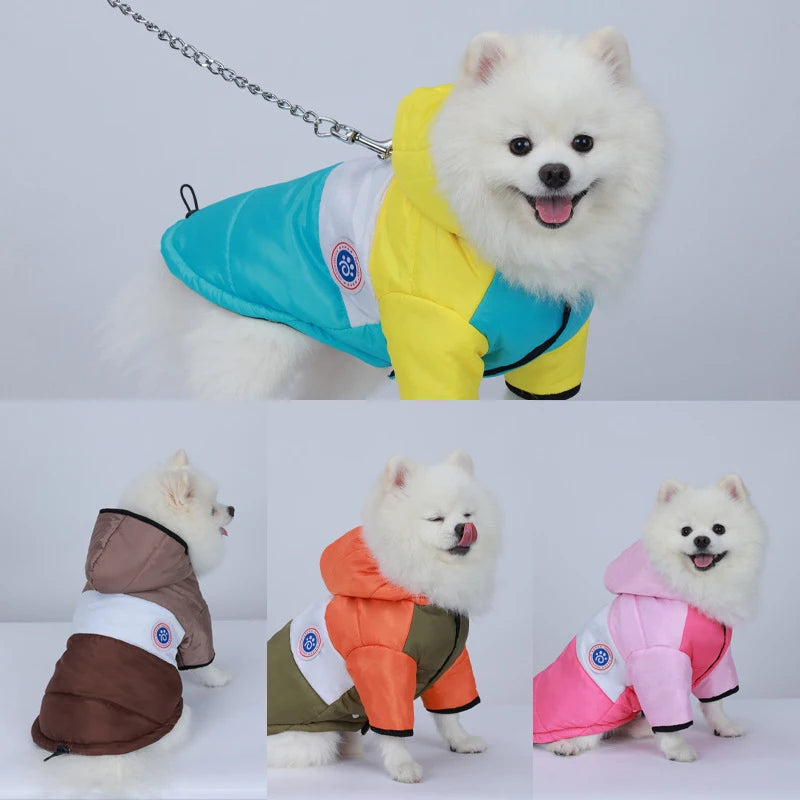 Bright & Bold Canine Raincoat: Stay Dry in Style