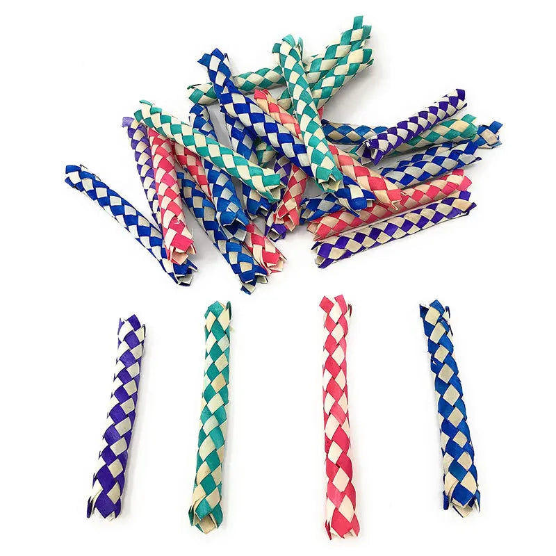 Colorful Parrot Chew Ropes