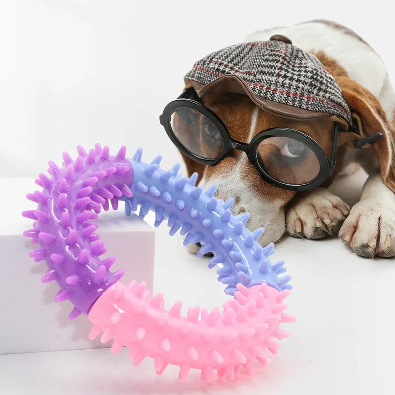 Dog Tooth Cleaning Ring for Molar Chewing