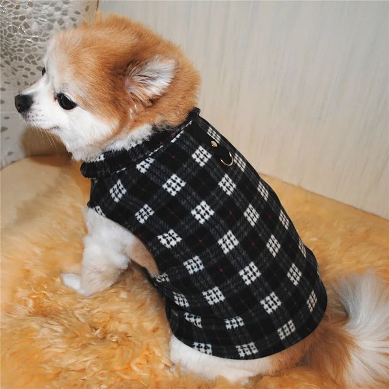 A small, fluffy orange and white dog is sporting a stylish Plaid Winter Dog Vest with a black and white checkered pattern. The vest fits snugly, keeping the dog warm and fashionable for the winter season.