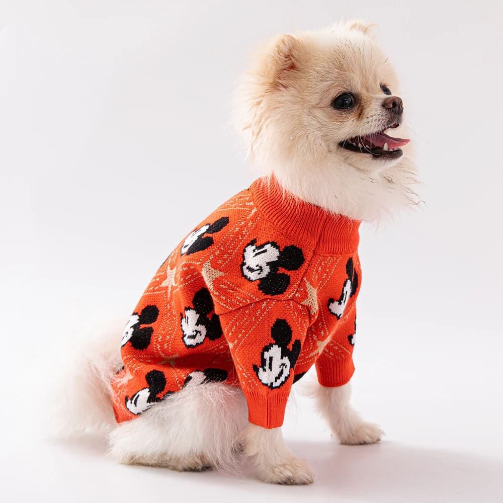 A fluffy dog wearing an orange Chic Pup Fashion sweater adorned with playful black and white patterns, showcasing style and comfort.