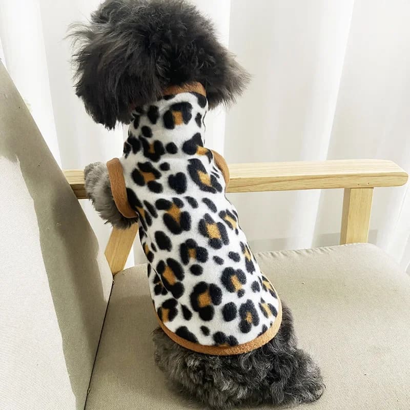 Dog wearing a leopard print fleece jacket with tan trim